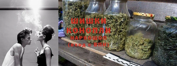 ГАЛЛЮЦИНОГЕННЫЕ ГРИБЫ Медногорск