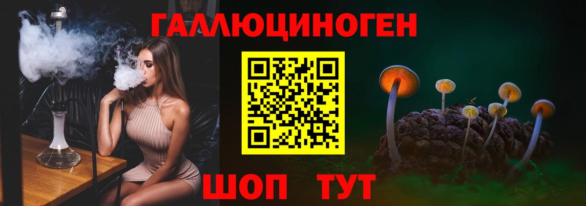 Галлюциногенные грибы Psilocybe Калининград