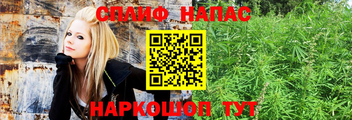 Шишки марихуана Ganja Калининград
